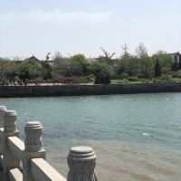 評論圖片 3