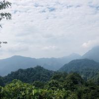 評論圖片 5
