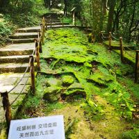評論圖片 3
