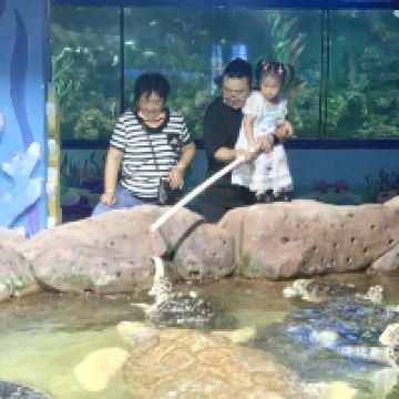 評論圖片 7