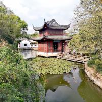 評論圖片 5