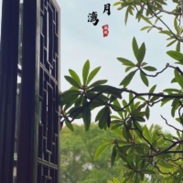 評論圖片 4