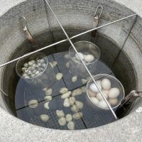 評論圖片 5