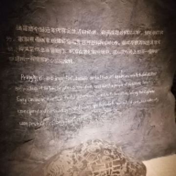 評論圖片 4