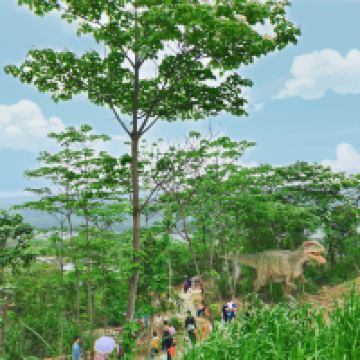 評論圖片 7