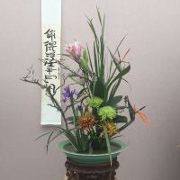 評論圖片 8
