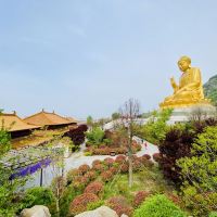 評論圖片 2