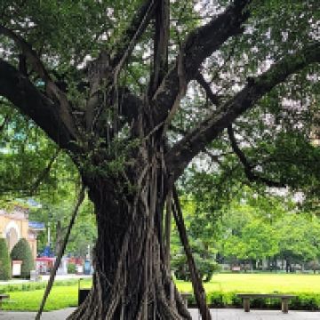 評論圖片 7