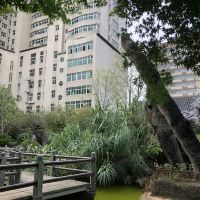 評論圖片 6