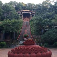 評論圖片 5