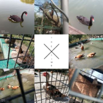 評論圖片 1