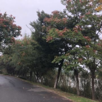 評論圖片 1