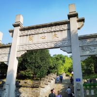 評論圖片 5