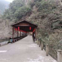 評論圖片 1