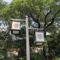 評論圖片 7