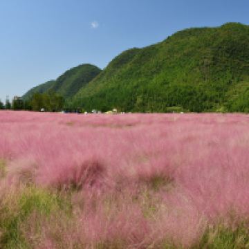 評論圖片 9