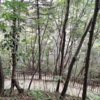 評論圖片 6