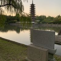 評論圖片 8