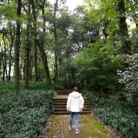 評論圖片 3