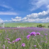 評論圖片 7