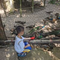 評論圖片 5