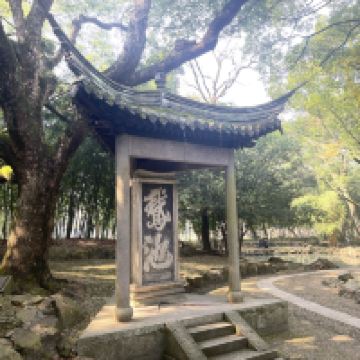 評論圖片 5