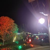 評論圖片 1