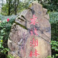 評論圖片 2