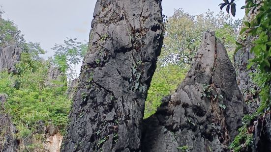 鳞隐石林总体规模不大，2个小时就可以了，景色还行，门票有点贵