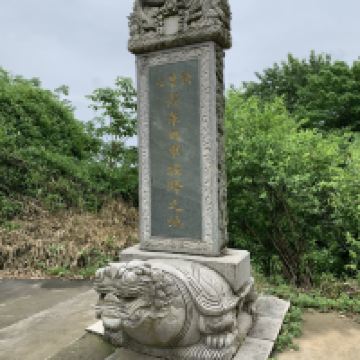 評論圖片 7