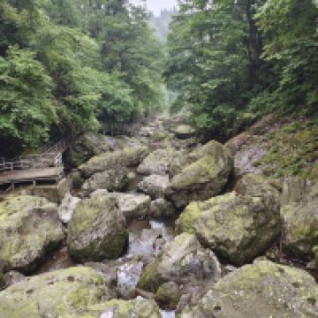 評論圖片 8