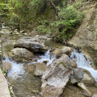 評論圖片 3