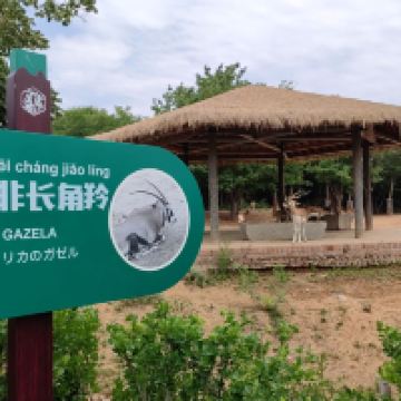 評論圖片 1