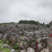 評論圖片 1