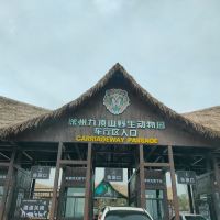 評論圖片 1
