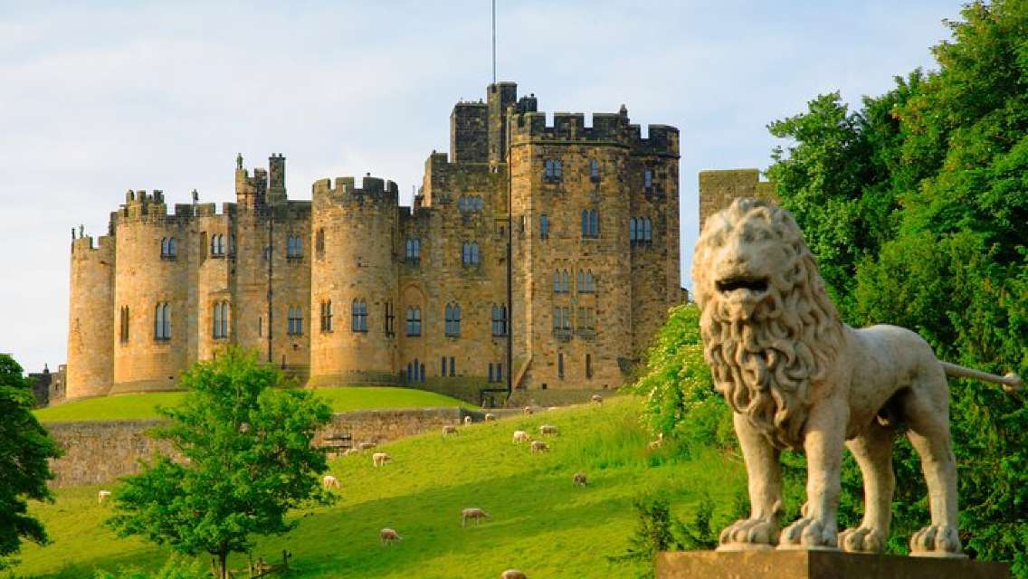 Viking Coast and Alnwick Castle Very Small Group Tour from Edinburgh 