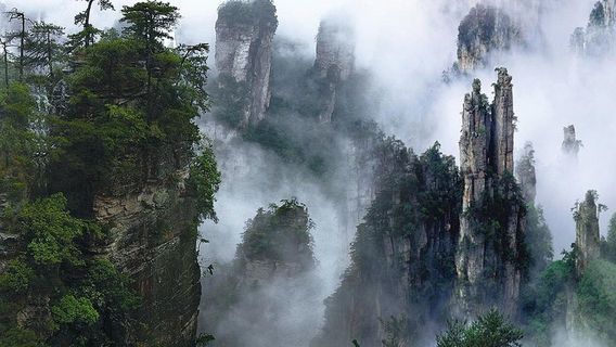 ZhangjiajieTours