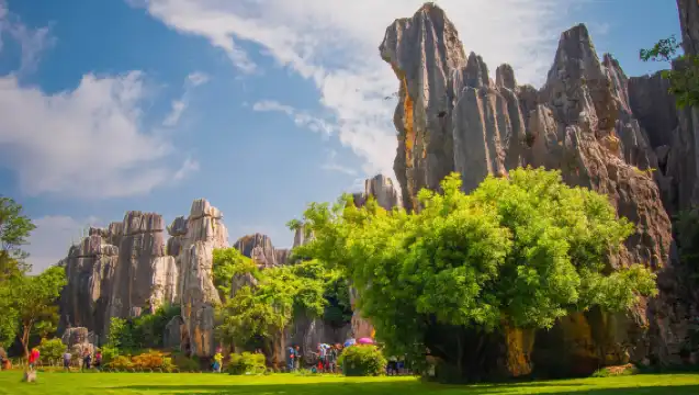 [Pure Fun] Yunnan Kunming Stone Forest Scenic Area + Jiuxiang one-day tour|Optional standalone package
