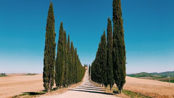 義大利托斯卡納奧爾維耶託一日遊托斯卡納田園風光精華/羅馬來回