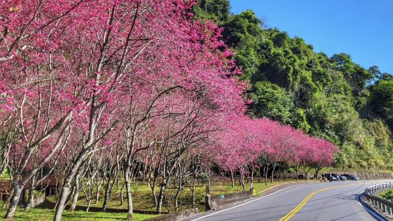 Jianqing Nostalgic Trail + Cuifeng Lake Mountain Trail one-day tour