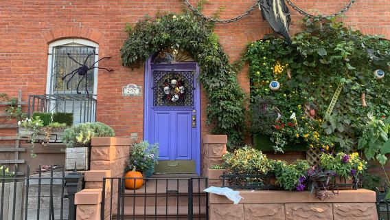 BrooklynTours