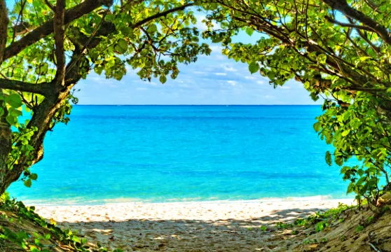 沖繩中北部巴士一日遊：美麗海水族館+古宇利島+萬座毛+美國村