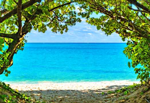 Okinawa central and northern bus one-day tour: Churaumi Aquarium + Kouri Island + Cape Manzamo + American Village