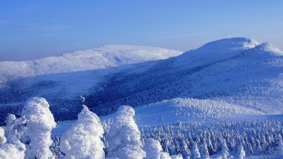 宮城郡+遠刈田溫泉神之湯前公園+藏王樹冰【冬季限定】