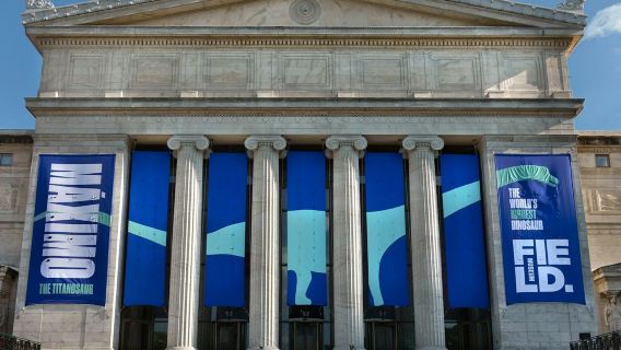 The Field Museum of Natural History: Guided Tour + Early Access + Exhibition