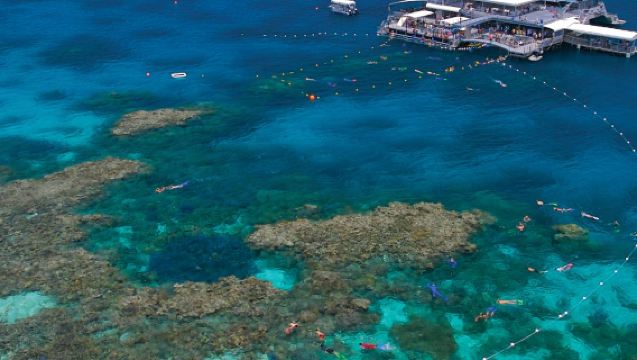 เกรตแบร์ริเออร์รีฟส่วนนอก: ทัวร์เรือ ต้นทางจากพอร์ตดักลาส + กิจกรรม + อาหารกลางวัน