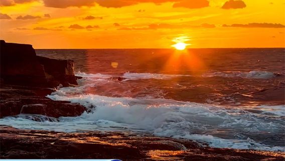 Sightseeing Group Tour: Wakayama Cat Stationmaster, Shirahama Onsen, Sandanbeki Cliffs Kansai, Osaka day tour