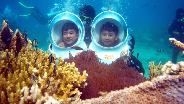 フーコック島ロイ島サンゴ公園半日帰りツアー【海底散歩体験】
