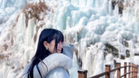 Winter-Exklusiv | Ab Seoul: Insel Nami, Eobi-Tal und Schienenfahrrad