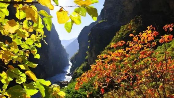Gola del Salto della Tigre + Zone umide di Lashihai + Città antica di Baisha + Tour privato del villaggio Naxi